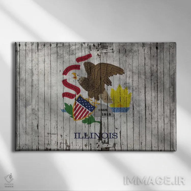 تابلو پرچم ایالت ایلینوی روی تختهچوب اثر فایو بای فایو کالکتیو - نمای روبهرو روی دیوار