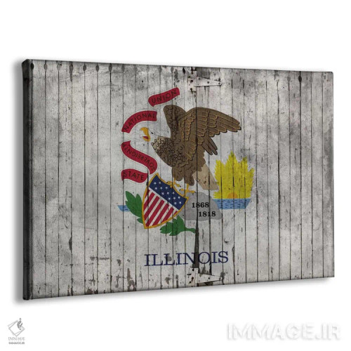تابلو پرچم ایالت ایلینوی روی تختهچوب اثر فایو بای فایو کالکتیو - نمای پرسپکتیو محصول