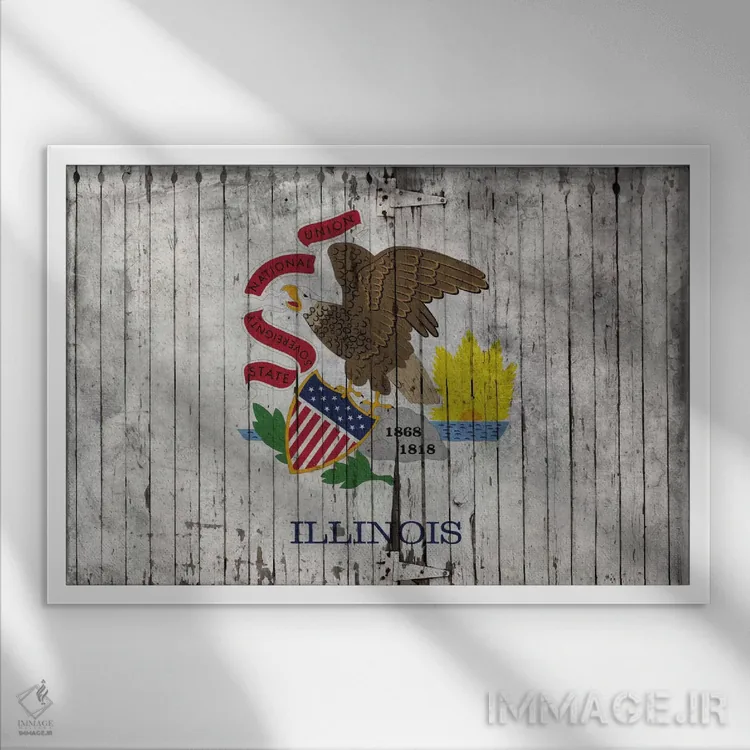 تابلو پرچم ایالت ایلینوی روی تختهچوب اثر فایو بای فایو کالکتیو - نمای قابدار سفید