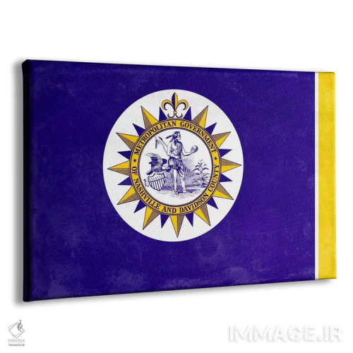 تابلو نشویل، تنسی اثر آیکانواس (شرکت چاپ هنری) - نمای پرسپکتیو محصول