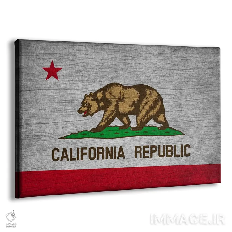 تابلو پرچم ایالت کالیفرنیا روی تختهچوب اثر فایو بای فایو کالکتیو - نمای پرسپکتیو محصول