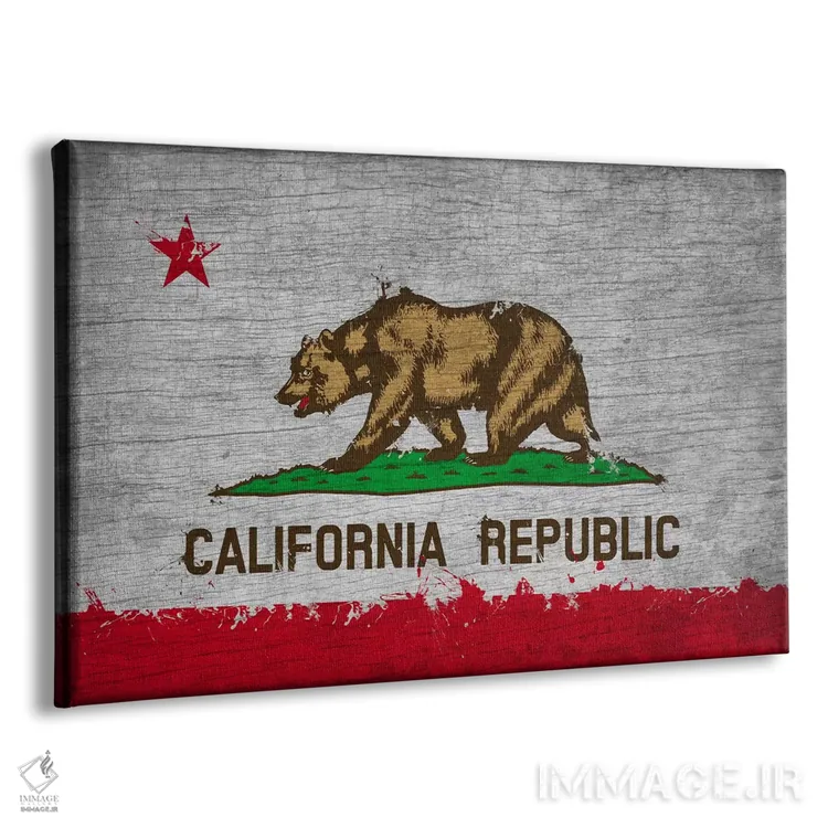 تابلو پرچم ایالت کالیفرنیا با رنگ تازه روی تختهچوب اثر فایو بای فایو کالکتیو - نمای پرسپکتیو محصول