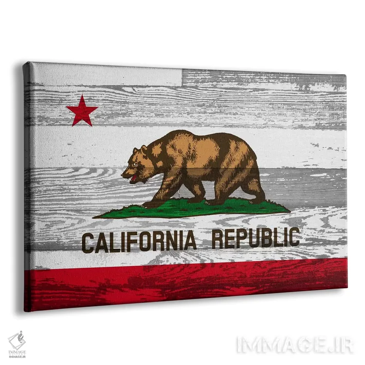 تابلو پرچم ایالت کالیفرنیا روی پنلهای چوبی اثر فایو بای فایو کالکتیو - نمای پرسپکتیو محصول