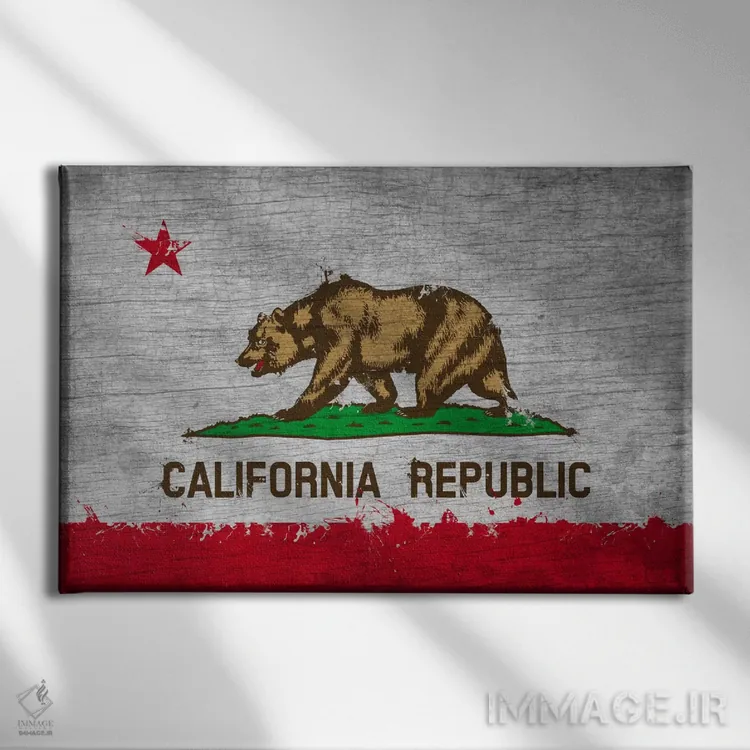 تابلو پرچم ایالت کالیفرنیا با رنگ تازه روی تختهچوب اثر فایو بای فایو کالکتیو - نمای روبهرو روی دیوار
