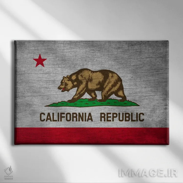تابلو پرچم ایالت کالیفرنیا روی تختهچوب اثر فایو بای فایو کالکتیو - نمای روبهرو روی دیوار