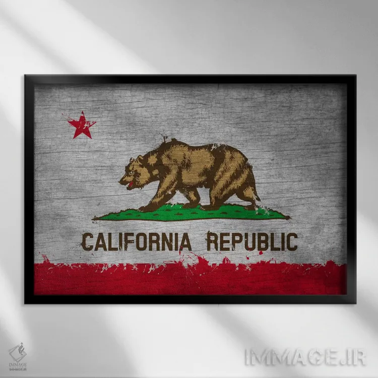 تابلو پرچم ایالت کالیفرنیا با رنگ تازه روی تختهچوب اثر فایو بای فایو کالکتیو - نمای قابدار مشکی