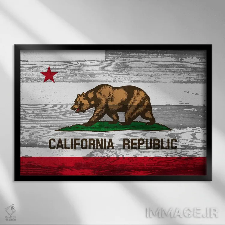 تابلو پرچم ایالت کالیفرنیا روی پنلهای چوبی اثر فایو بای فایو کالکتیو - نمای قابدار مشکی