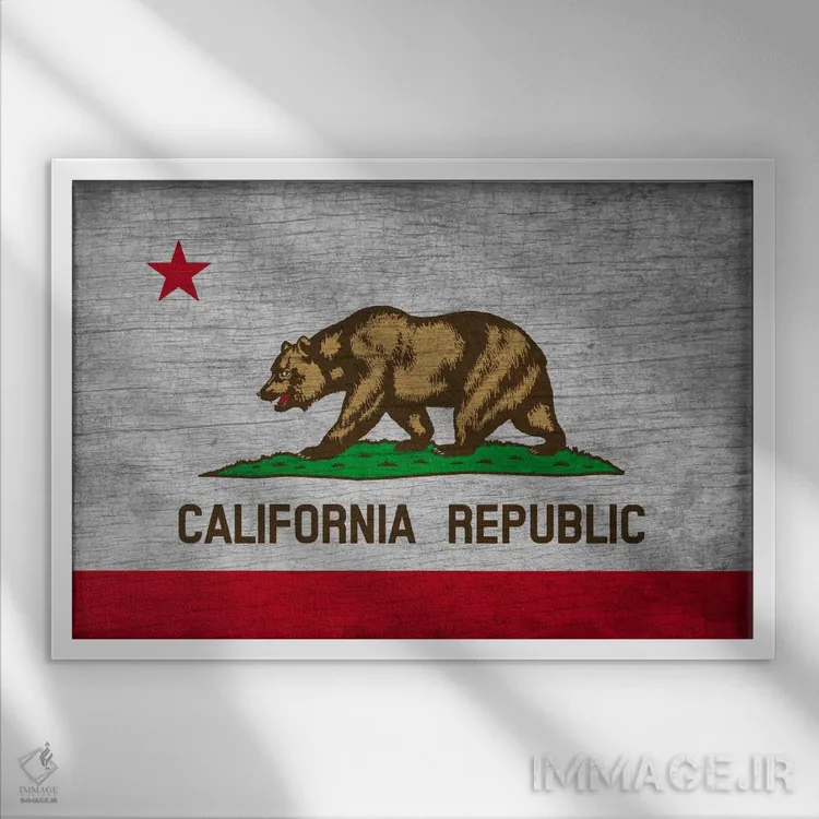 تابلو پرچم ایالت کالیفرنیا روی تختهچوب اثر فایو بای فایو کالکتیو - نمای قابدار سفید