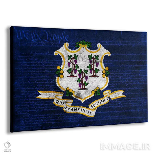 تابلو کنتیکت (قانون اساسی آمریکا) اثر فایو بای فایو کالکتیو - نمای پرسپکتیو محصول