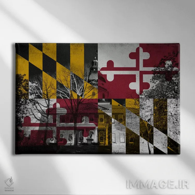 تابلو مریلند (ساختمان ایالتی مریلند) اثر فایو بای فایو کالکتیو - نمای روبهرو روی دیوار