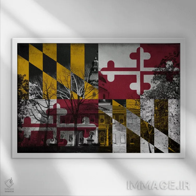 تابلو مریلند (ساختمان ایالتی مریلند) اثر فایو بای فایو کالکتیو - نمای قابدار سفید