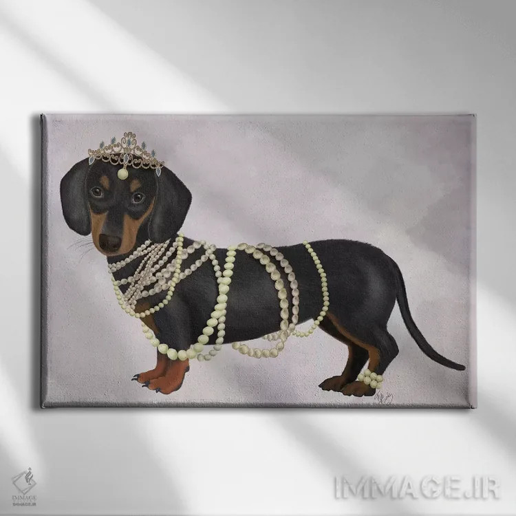 تابلو داشوند و مرواریدها ۱ اثر فب فانکی (استودیو هنری) - نمای روبهرو روی دیوار