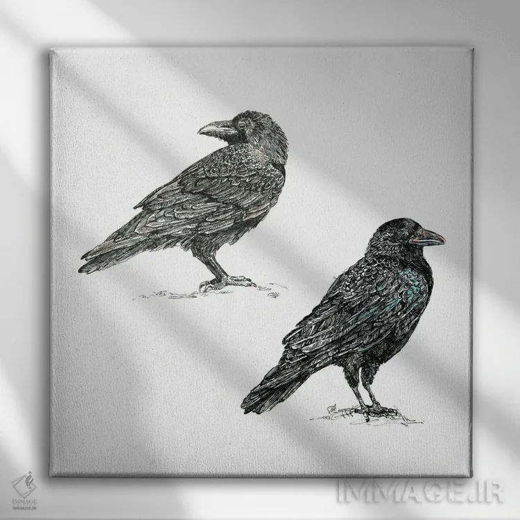 تابلو کلاغها اثر فانیتسا پترو - نمای روبهرو روی دیوار