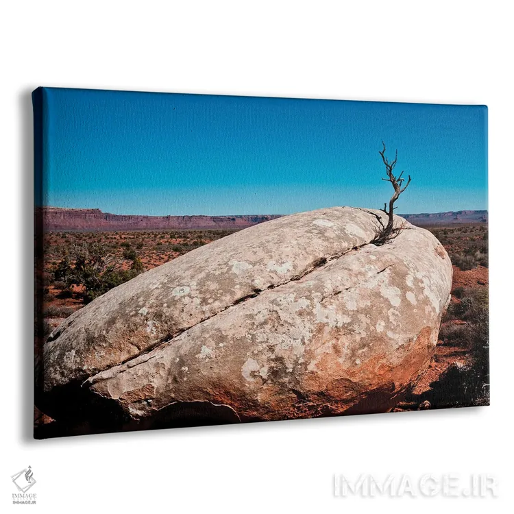 تابلو "آمریکا، یوتا، بلاف. بوته کرئوزوت رشد کرده از صخره" اثر برنارد فریل - نمای پرسپکتیو محصول