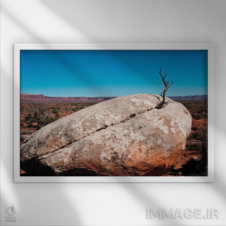 تابلو "آمریکا، یوتا، بلاف. بوته کرئوزوت رشد کرده از صخره" اثر برنارد فریل - نمای قابدار سفید