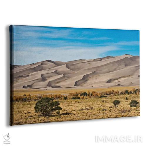 تابلو "آمریکا، کلرادو، آلاموسا، پارک ملی تپههای شنی بزرگ I" اثر برنارد فریل - نمای پرسپکتیو محصول