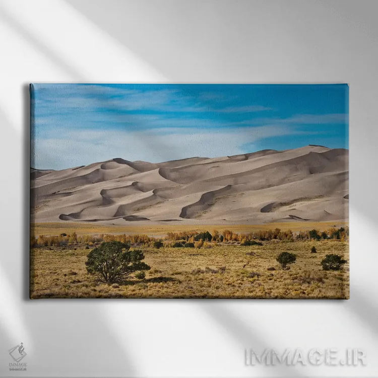 تابلو "آمریکا، کلرادو، آلاموسا، پارک ملی تپههای شنی بزرگ I" اثر برنارد فریل - نمای روبهرو روی دیوار