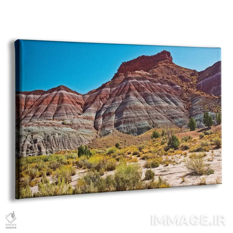 تابلو "آمریکا، یوتا، پاریا. منظره مسیر به سمت شهر متروکه" اثر برنارد فریل - نمای پرسپکتیو محصول