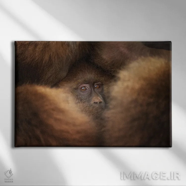 تابلو مانند در پناهگاه اثر فرن رودریگز - نمای روبهرو روی دیوار