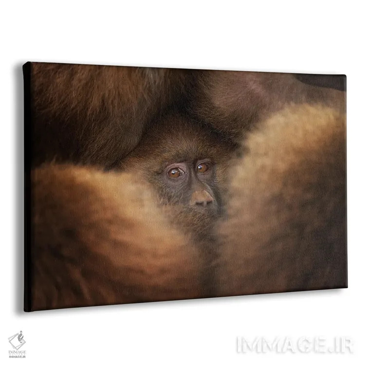 تابلو مانند در پناهگاه اثر فرن رودریگز - نمای پرسپکتیو محصول