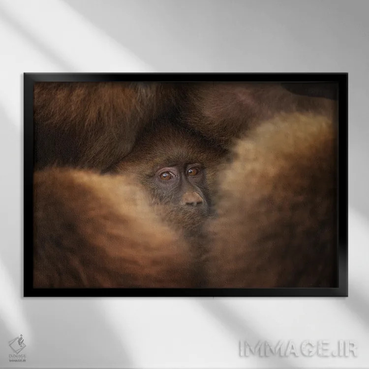 تابلو مانند در پناهگاه اثر فرن رودریگز - نمای قابدار مشکی