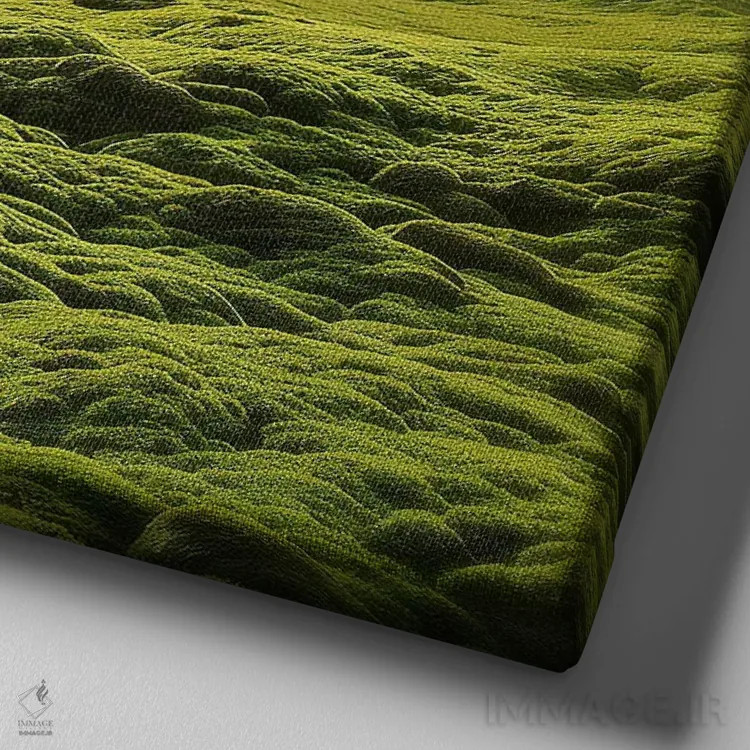 تابلو روشنایی (اسپانیایی) اثر فرن رودریگز - نمای نزدیک بافت بوم