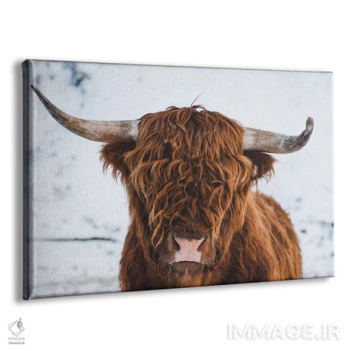 تابلو گاوهای کوهستانی II اثر استفن فوسبک - نمای پرسپکتیو محصول