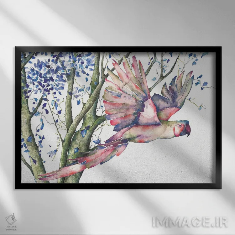 تابلو طوطی اثر فلاویا کودمی - نمای قابدار مشکی