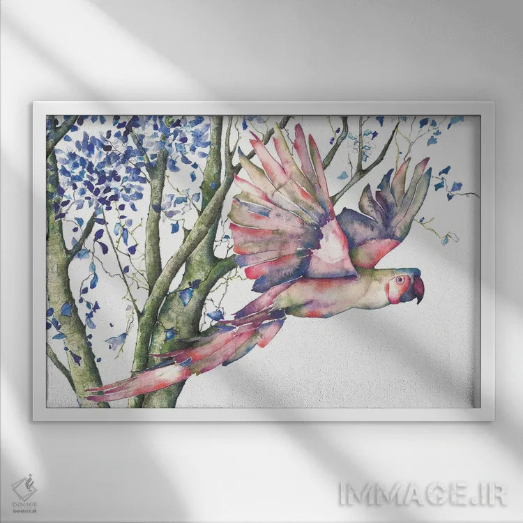 تابلو طوطی اثر فلاویا کودمی - نمای قابدار سفید