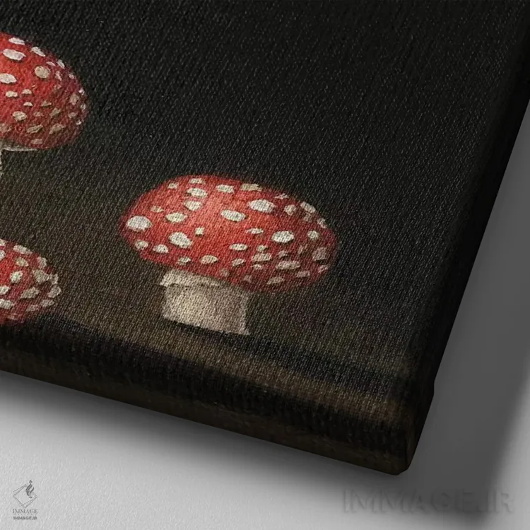 تابلو رقاص باله اثر فوکسی اند پیپر (برند هنری) - نمای نزدیک بافت بوم