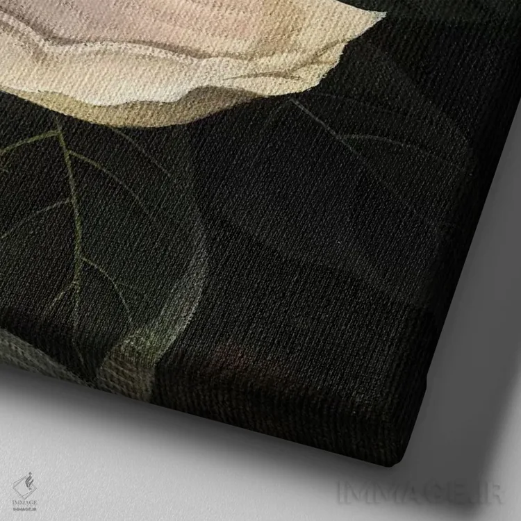 تابلو مانگولیا (نوعی گل) اثر فوکسی اند پیپر (برند هنری) - نمای نزدیک بافت بوم