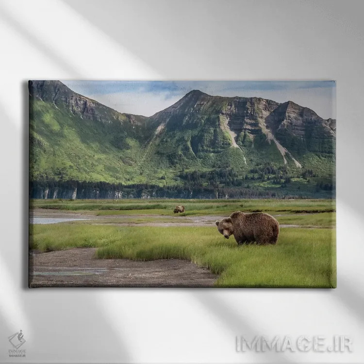 تابلو Alaska, Katmai National Park, Hallo Bay. Coastal Brown Bear I,ایالات متحده، آلاسکا، پارک ملی کتمای، خلیج هالو. خرس قهوهای ساحلی ۱ اثر فرانک زوری - نمای روبهرو روی دیوار