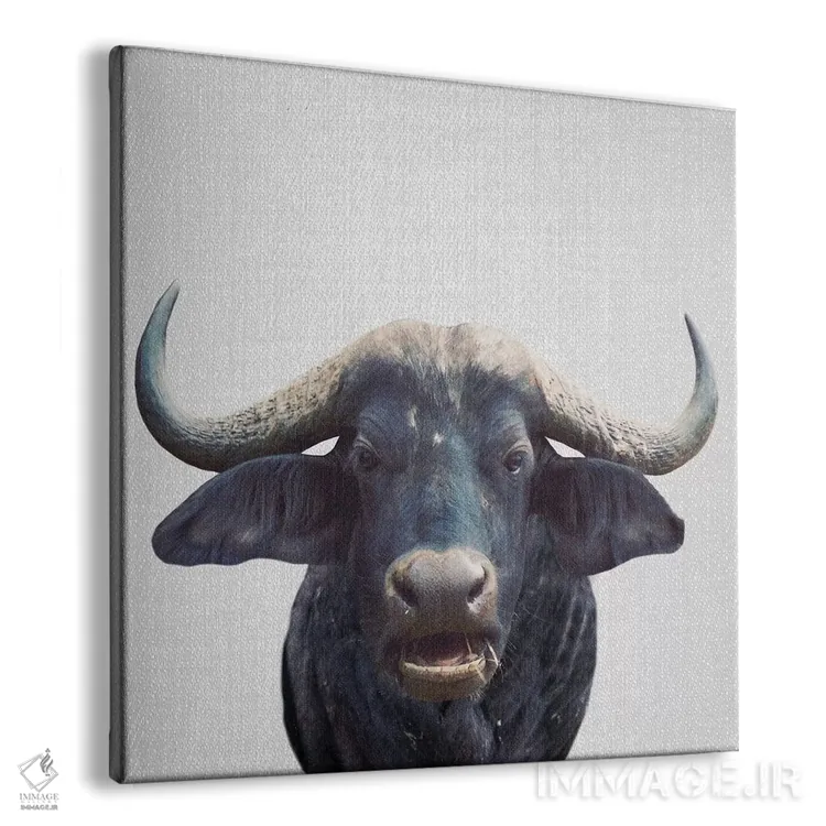 تابلو گاومیش آفریقایی اثر گال دیزاین - نمای پرسپکتیو محصول