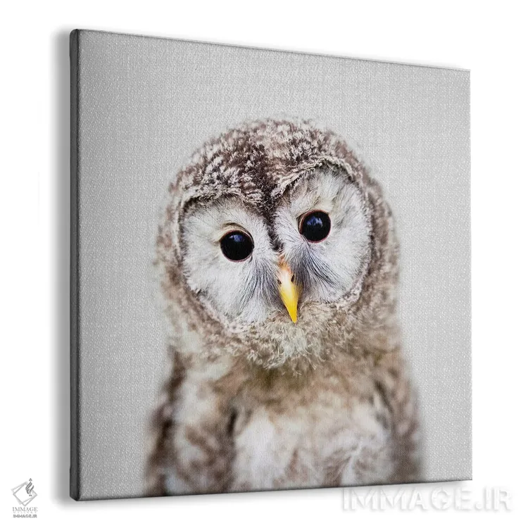 تابلو جغد بچه اثر گال دیزاین - نمای پرسپکتیو محصول