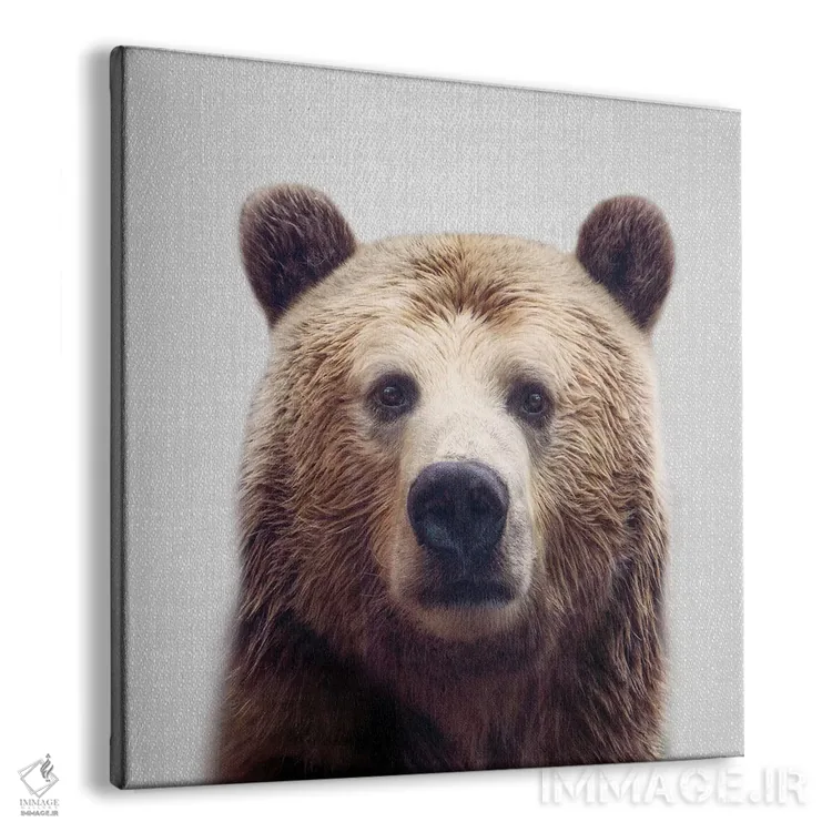تابلو خرس اثر گال دیزاین - نمای پرسپکتیو محصول