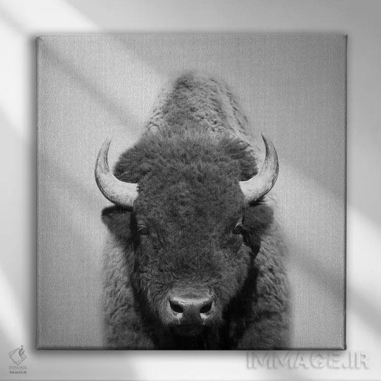 تابلو گاومیش در سیاه و سفید اثر گال دیزاین - نمای روبهرو روی دیوار