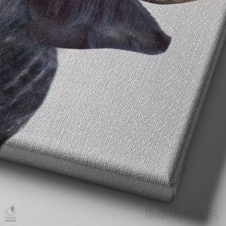 تابلو گاومیش آفریقایی اثر گال دیزاین - نمای نزدیک بافت بوم