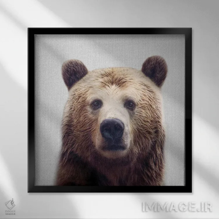 تابلو خرس اثر گال دیزاین - نمای قابدار مشکی