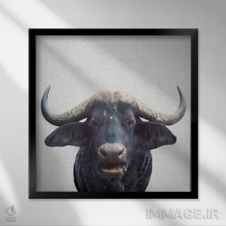 تابلو گاومیش آفریقایی اثر گال دیزاین - نمای قابدار مشکی