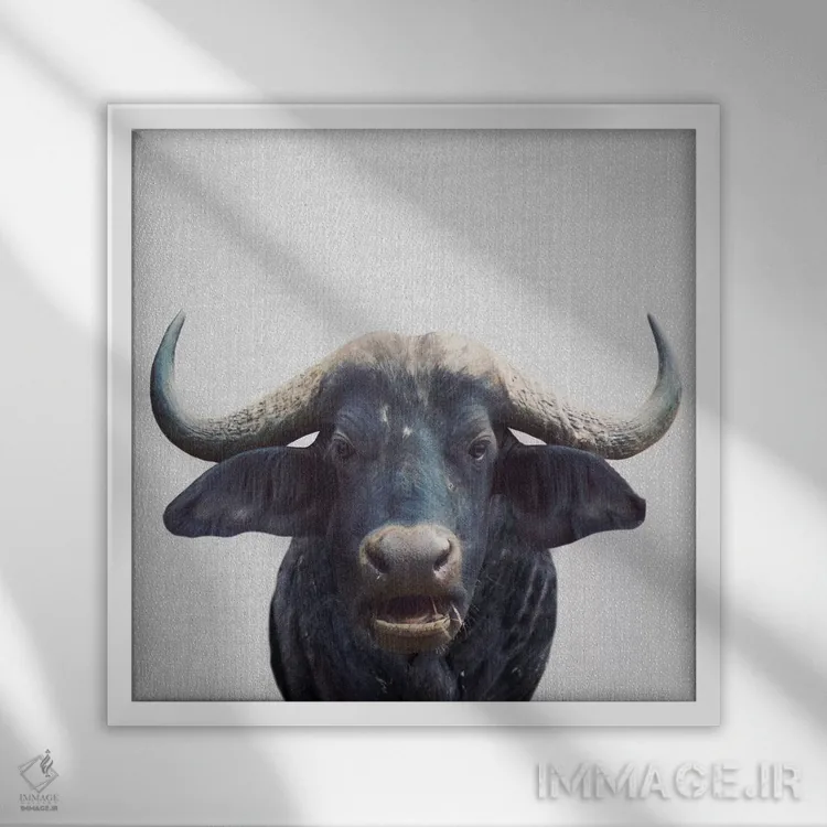 تابلو گاومیش آفریقایی اثر گال دیزاین - نمای قابدار سفید