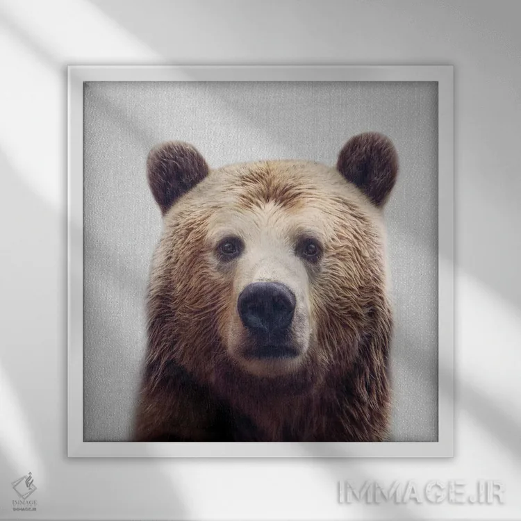 تابلو خرس اثر گال دیزاین - نمای قابدار سفید
