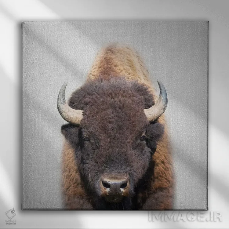 تابلو گاومیش اثر گال دیزاین - نمای روبهرو روی دیوار