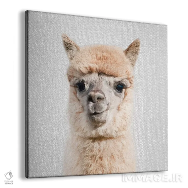 تابلو آلپاکا اثر گال دیزاین - نمای پرسپکتیو محصول