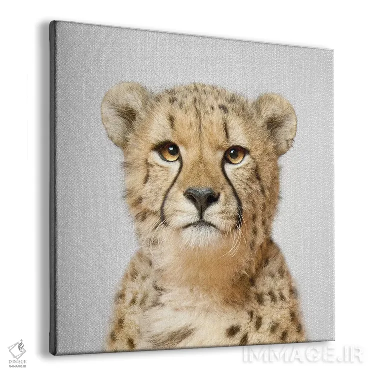 تابلو یوزپلنگ اثر گال دیزاین - نمای پرسپکتیو محصول