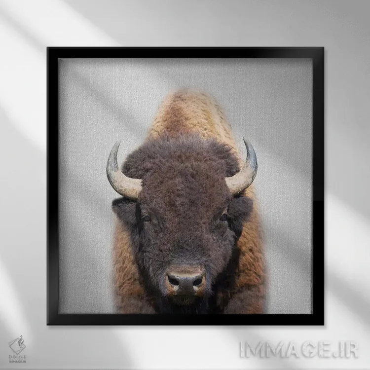 تابلو گاومیش اثر گال دیزاین - نمای قابدار مشکی