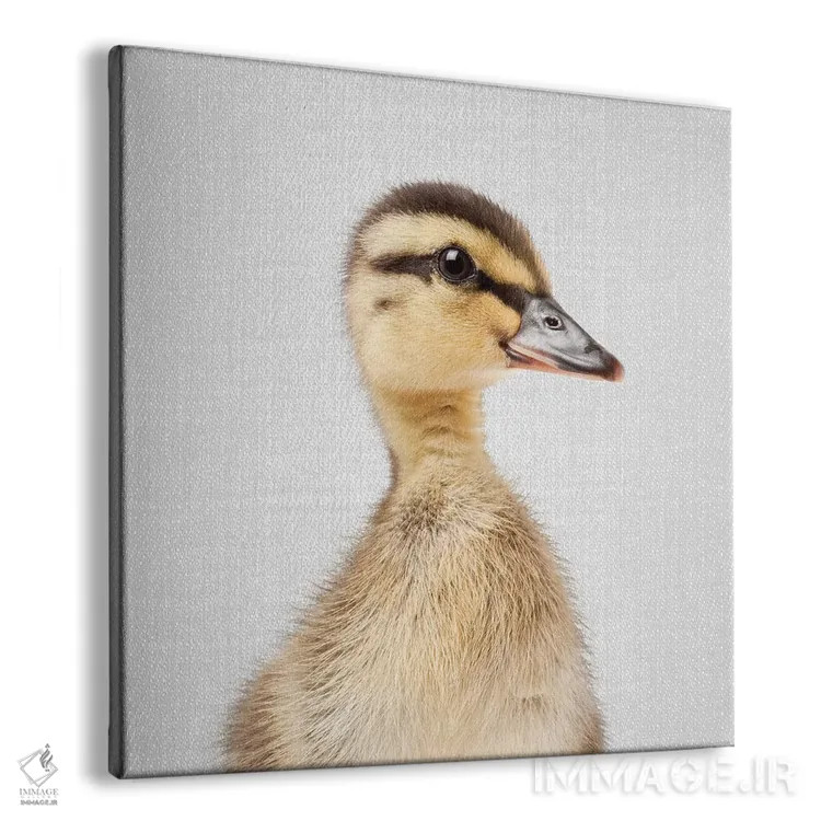 تابلو جوجه اردک اثر گال دیزاین - نمای پرسپکتیو محصول