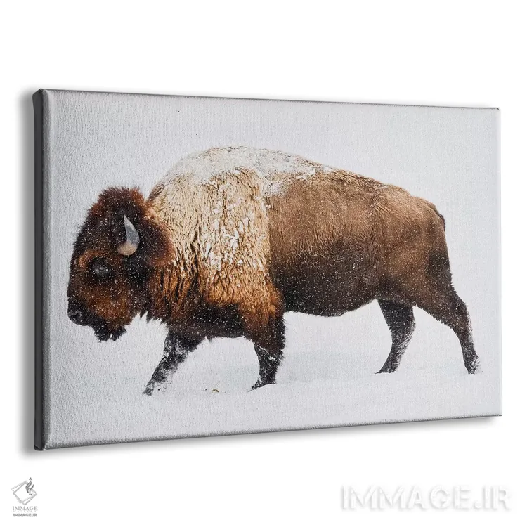 تابلو گاومیش در برف اثر گال دیزاین - نمای پرسپکتیو محصول