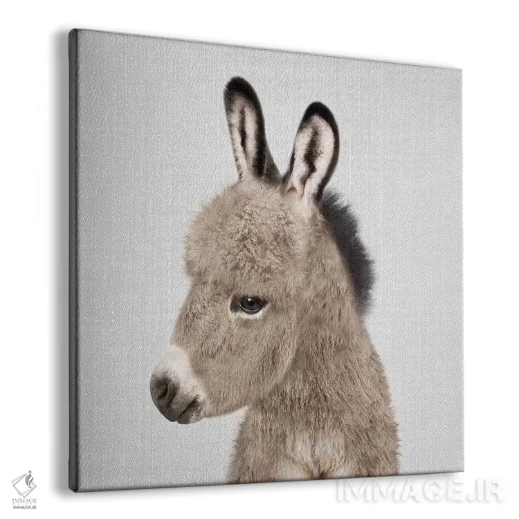 تابلو الاغ اثر گال دیزاین - نمای پرسپکتیو محصول