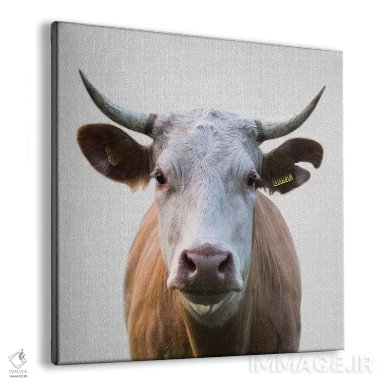 تابلو گاو اثر گال دیزاین - نمای پرسپکتیو محصول