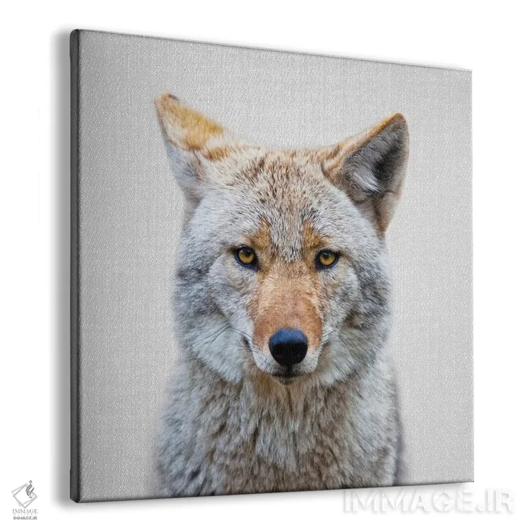 تابلو کایوت اثر گال دیزاین - نمای پرسپکتیو محصول